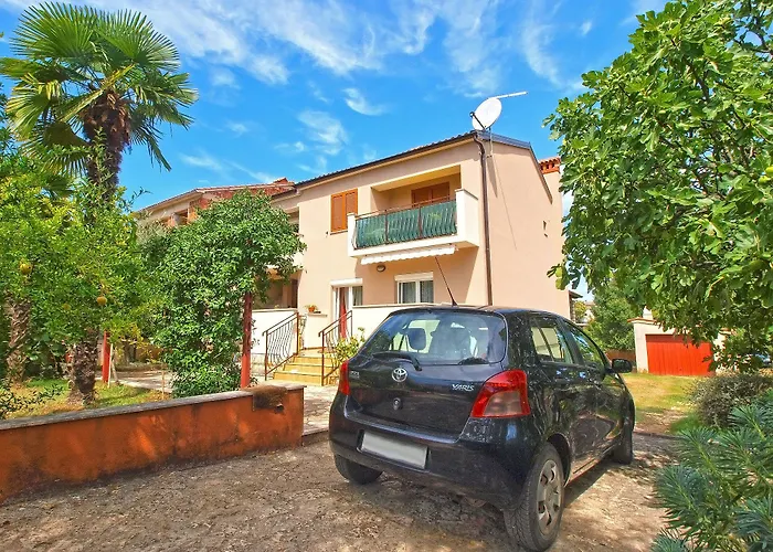 Voltica 1049 로비니