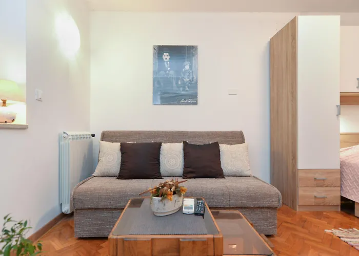 Voltica 1049 * 로비니