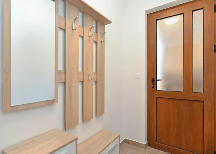 Voltica 1049 로비니