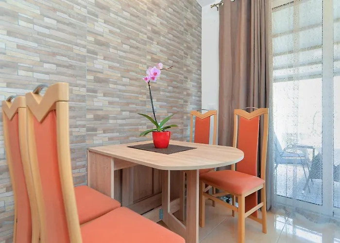 Voltica 1049 로비니