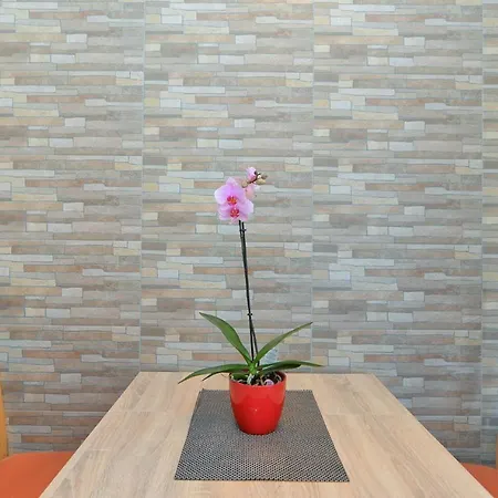 Voltica 1049 Apartment Rovinj