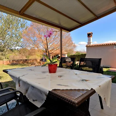 Voltica 1049 Apartment *